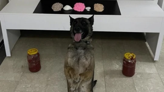 Salça Bidonu İçinde Uyuşturucu Sevkiyatı, Nina'dan Kaçmadı 2 Gözaltı