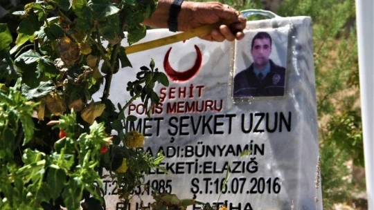 Şehit oğlunun anısına, 2 bin 500 fidanla orman oluşturdu