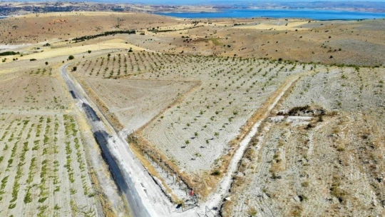 Şehit oğlunun anısına, 2 bin 500 fidanla orman oluşturdu