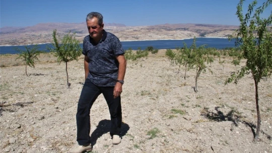 Şehit oğlunun anısına, 2 bin 500 fidanla orman oluşturdu