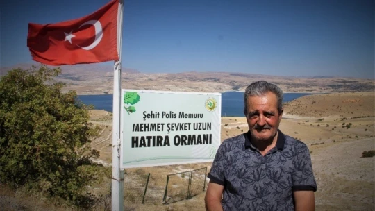 Şehit oğlunun anısına, 2 bin 500 fidanla orman oluşturdu