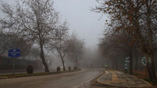 Sessizliğe bürünen Elazığ, sisle kayboldu
