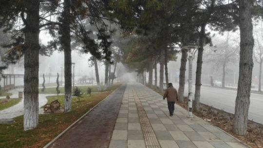 Sessizliğe bürünen Elazığ, sisle kayboldu