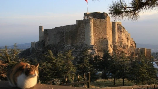 Sessizliğe bürünen medeniyetler beşiği Harput'ta sonbahar güzelliği