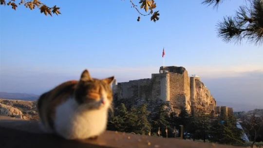 Sessizliğe bürünen medeniyetler beşiği Harput'ta sonbahar güzelliği
