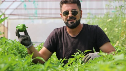 Tescilli Keban Biberinin Lezzeti Ülke Sınırlarını Aştı