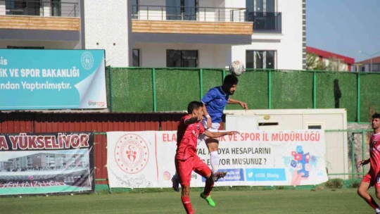 TFF 3. Lig: Elazığ Karakoçan: 1 - Bayrampaşa: 2