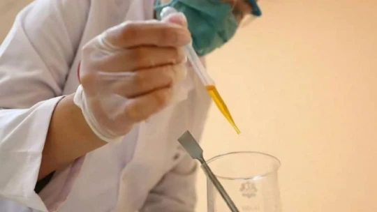 Üniversite öğrencisi doğada çözünerek bitkiye dönüşen plastik üretti