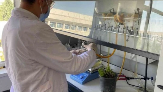Üniversite öğrencisi doğada çözünerek bitkiye dönüşen plastik üretti