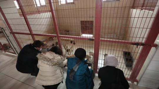 Veteriner Fakültesi öğrencilerinden Elazığ Belediyesi Hayvan Hastanesine tam not
