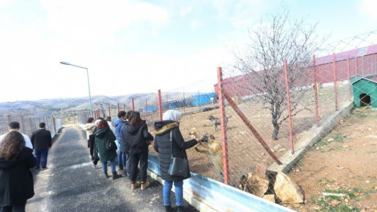 Veteriner Fakültesi öğrencilerinden Elazığ Belediyesi Hayvan Hastanesine tam not