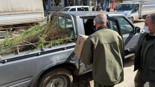 Vurulan kulaklı orman baykuşu bulundu, tedavi altına alındı
