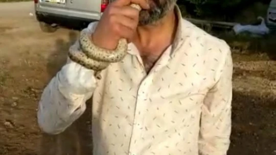 Yakaladığı yılanı böyle sevip öptü, o anlar kameraya yansıdı