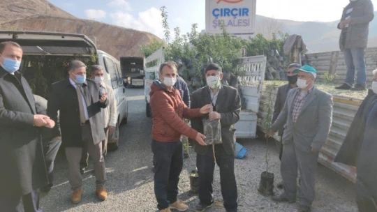 Yüzde 50 hibe destekli 27 bin fidan çiftçilere dağıtıldı