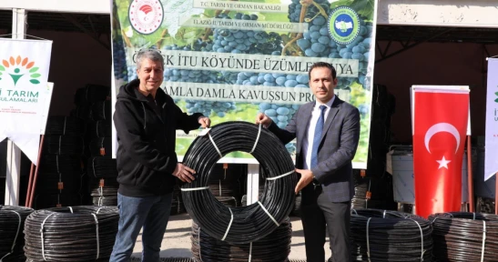 Üzümler Suya Damla Damla Kavuşuyor! Elazığ'da Verimli Üretim Dönemi Başladı