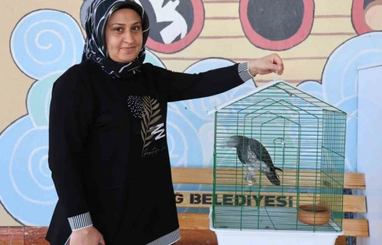 Kayıp Papağan Kamil Sahibine Kavuştu