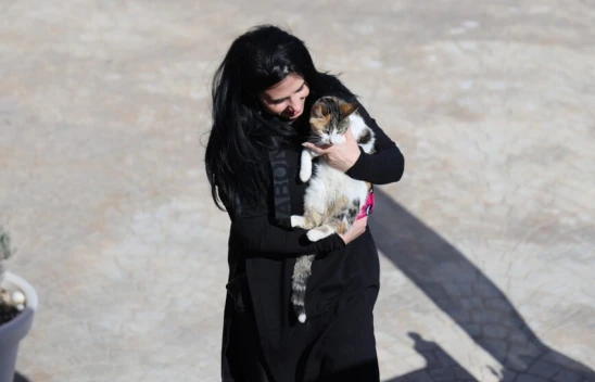 2.500 Kilometrelik Sevgi Yolculuğu: Romanyalı Kadın Elazığ'daki Kedi İçin Geri Döndü