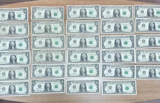 7 ilde FETÖ operasyonu: 23 gözaltı