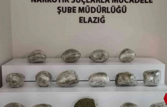 Alex Kokladı, Tırın Dorsesinden 17 Kilo 650 Gram Uyuşturucu Çıktı