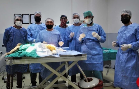 Araç Çarpması Sonucu Bacakları Kırılan Yavru Ayı Elazığ'da Ameliyata Alındı