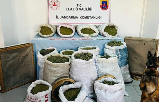 Arıcak ve Diyarbakır'da 241 Kilogram Esrar, 1230 Kök Hint Keneviri Ele Geçirildi