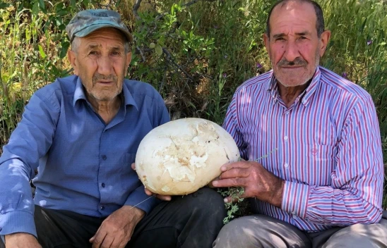 Baskil'de Bir Kişi 4'er Kilogram Ağırlığında 2 Meşe Mantarı Buldu