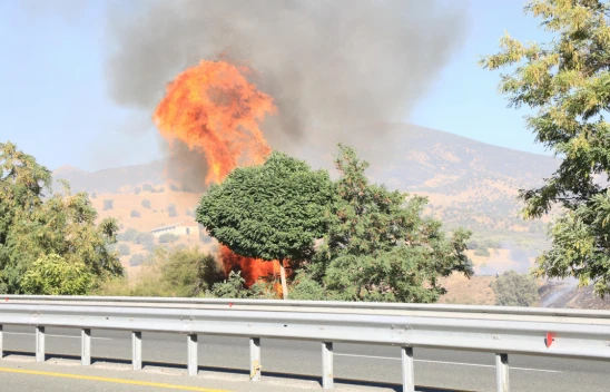 Baskil'de TOMA ile Orman Yangınına Müdahale Edildi