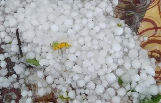 Yaz Günü Baskil'i Dolu Vurdu, Kayısı Ağaçları Yeniden Zarar Gördü