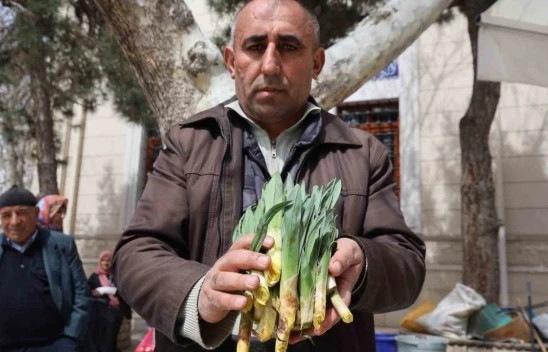 Elazığ'da Şifalı Çiriş Otu Tezgahlarda Yerini Aldı