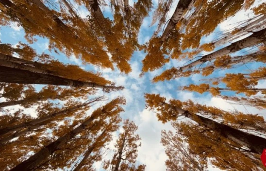 Doğunun gizli denizi Hazar Gölünde sonbahar güzelliği