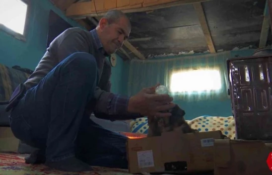 Eksi 3 Derecede Bulduğu 7 Yavru Köpeği Evine Getirip, Sobanın Önünde Biberonla Beslemeye Başladı