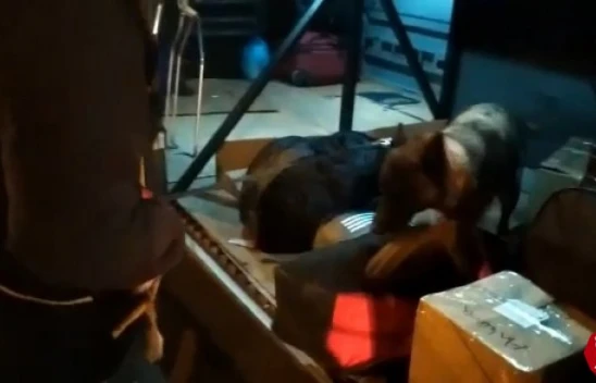 Elazığ'a Uyuşturucu Sokmak İsteyen Şüpheliler Nina'ya Takıldı