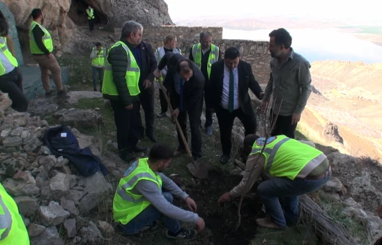 Elazığ Baskil'de Sancaktar Abdulvahap Gazi Türbesi'nde Ağaç Dikimi Gerçekleştirildi