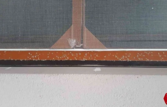 Elazığ'da 'Yaprak Biti' Bahçe Ve Evleri Sardı, Ekipler Çalışma Başlattı