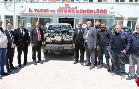 Elazığ'da 1 Ton 150 Kilogram Kaçak Avlanan Balık Yakalandı