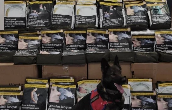 Elazığ'da Jandarma Operasyonu, 85 Kilo Kaçak Tütün Ele Geçirildi