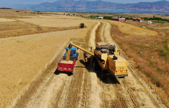 Elazığ'da Hububat Hasadında Rekor Bekleniyor