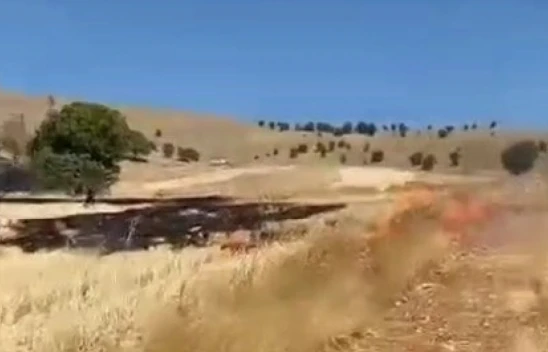 Elazığ Üçağaç Köyünde Anız Yangını