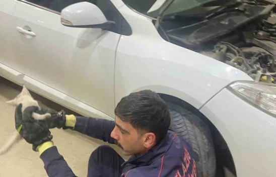 Elazığ'da aracın motor kısmına sıkışan kedi, itfaiye tarafından kurtarıldı