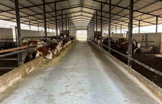 Elazığ'da Bir Çiftçi 'Hastalıktan Ari İşletme Sertifikası' Aldı!