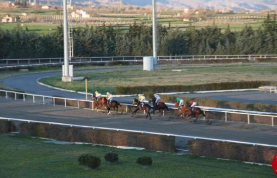Elazığ Hipodromu'nda Heyecan Dolu Yarışlar İçin Start Verildi