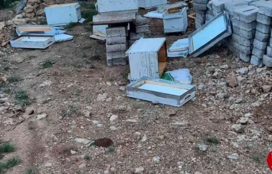 Maden İlçesinde Ayılar Arı Kovanlarını Parçaladı