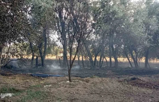 Sarıçubuk Köyünde bahçede korkutan yangın