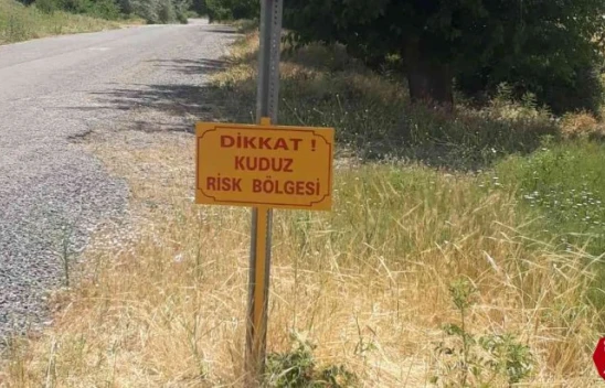 Palu'da Bir Köy Kuduz Vakasıyla Karantinaya Alındı