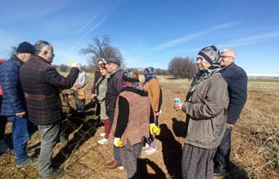 Elazığ'da budama eğitimleri sürüyor