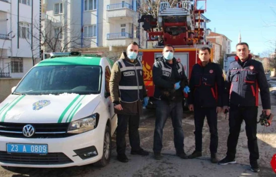 Elazığ'da Çatıda Mahsur Kalan Kedi İçin HAYDİ Ve İtfaiye Ekipleri Seferber Oldu