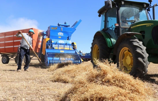 Elazığ'da Çiftçiler Bakteri Kullanarak Mercimekte Verimi Arttırdılar !