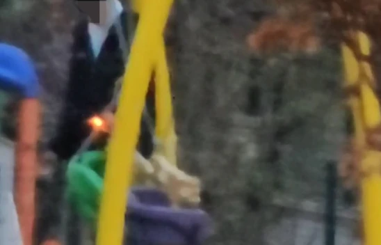 Elazığ'da Çocuk Parkında Salıncakları Ateşe Veren Şahıs Kamerada