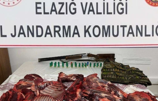 Elazığ'da dağ keçisini avlayan şahsa 650 bin lira ceza kesildi