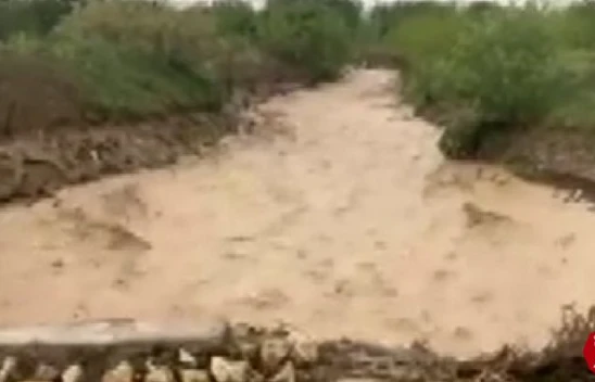 Elazığ'da Dereler Taştı, Su Altında Kalan Tarım Arazileri Zarar Gördü